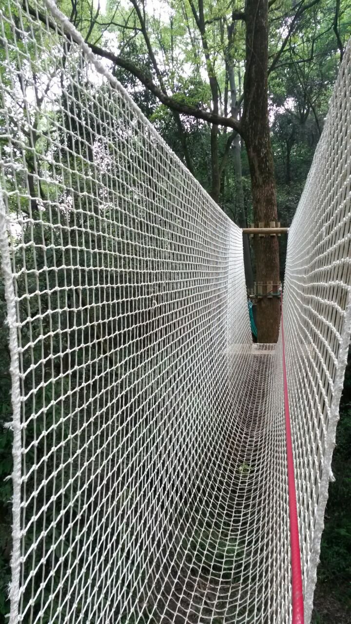 Puente colgante con malla en el bosque