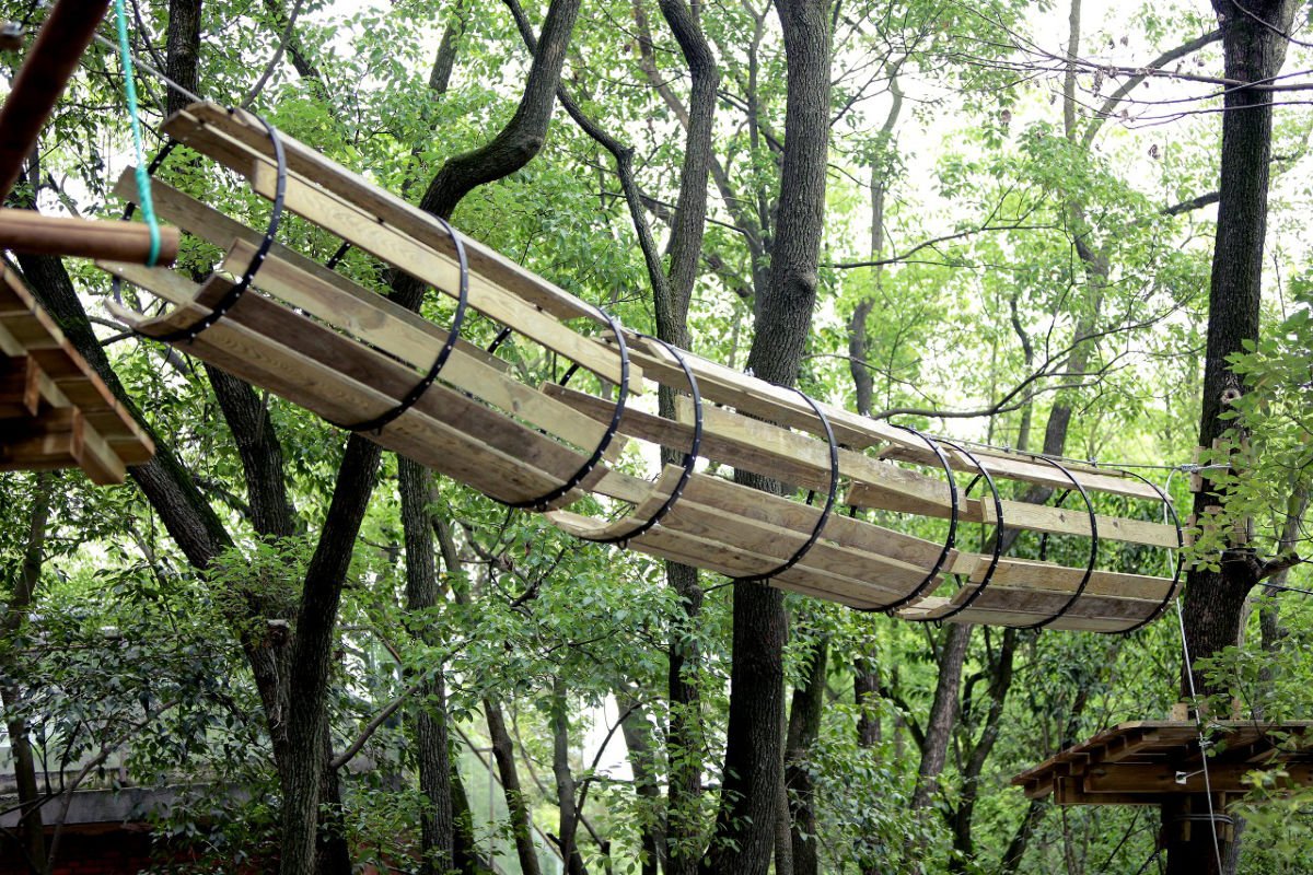 Túnel de madera en el bosque